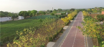 Plot Area in  Plot at Raheja Aranya, Sohna Sector 14 – for Sale
