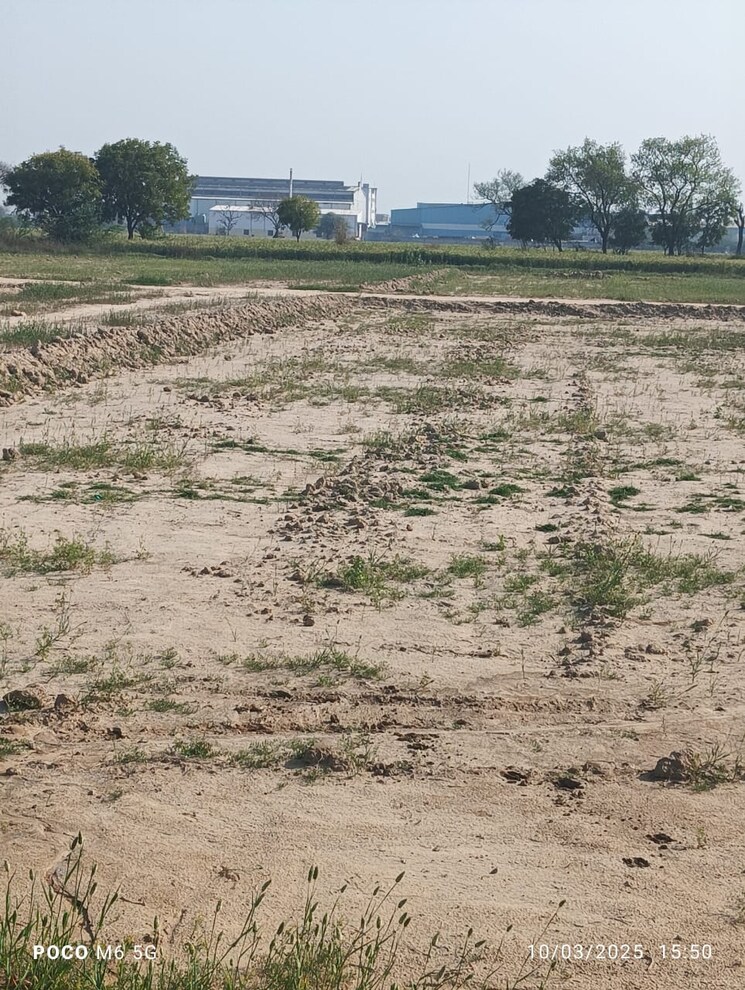 undefined, asoati  500 Sq.Yd. Plot In Asoati Palwal 8328911