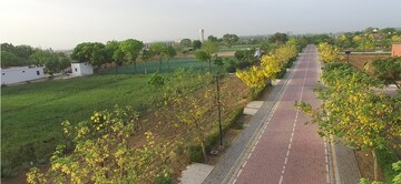 Plot Area in  Plot at Raheja Aranya, Sohna Sector 14 – for Sale