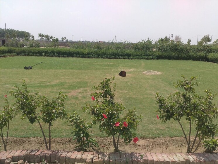 Exterior View, jewar  85 Sq.Yd. Plot In Jewar Greater Noida 8329074