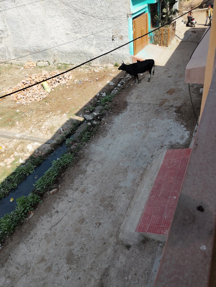 Exterior View, kursi road  1173 Sq.Yd. Plot In Kursi Road Lucknow 8329235