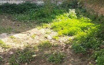 Plot For Sale in Jeevan Vihar