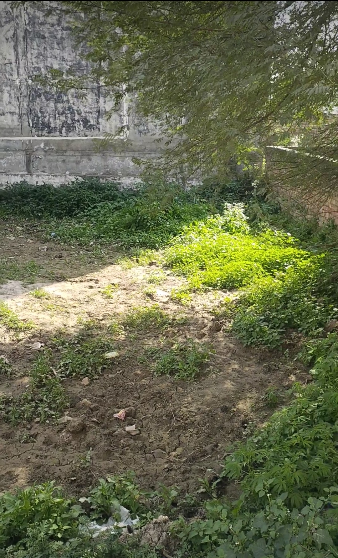 Plot For Sale in Shree Shyam Property 