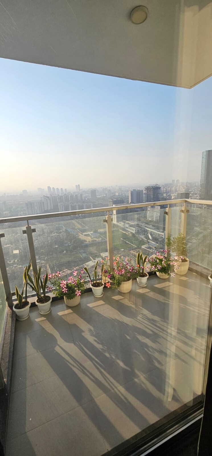 Swimming Pool, m3m-latitude 3 Bedroom 2380 Sq.Ft. Apartment In Sector 65 Gurgaon 8329317