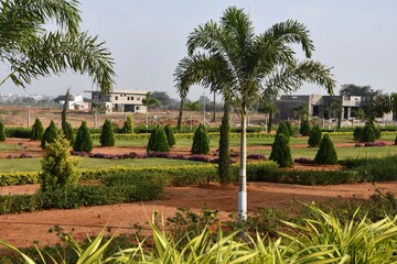  Plot – Garden View at Fortune Crystal, Chukkapur - for Sale