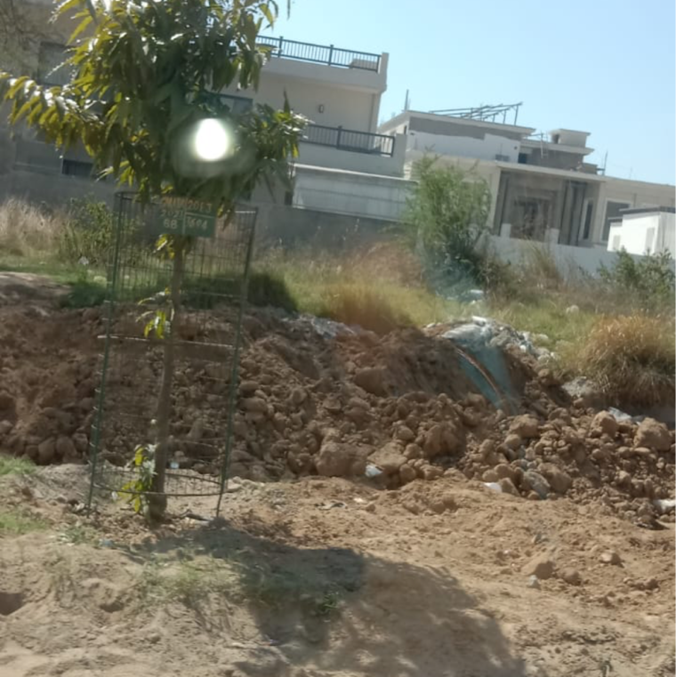 undefined, aerocity  300 Sq.Yd. Plot In Aerocity Mohali 8329745