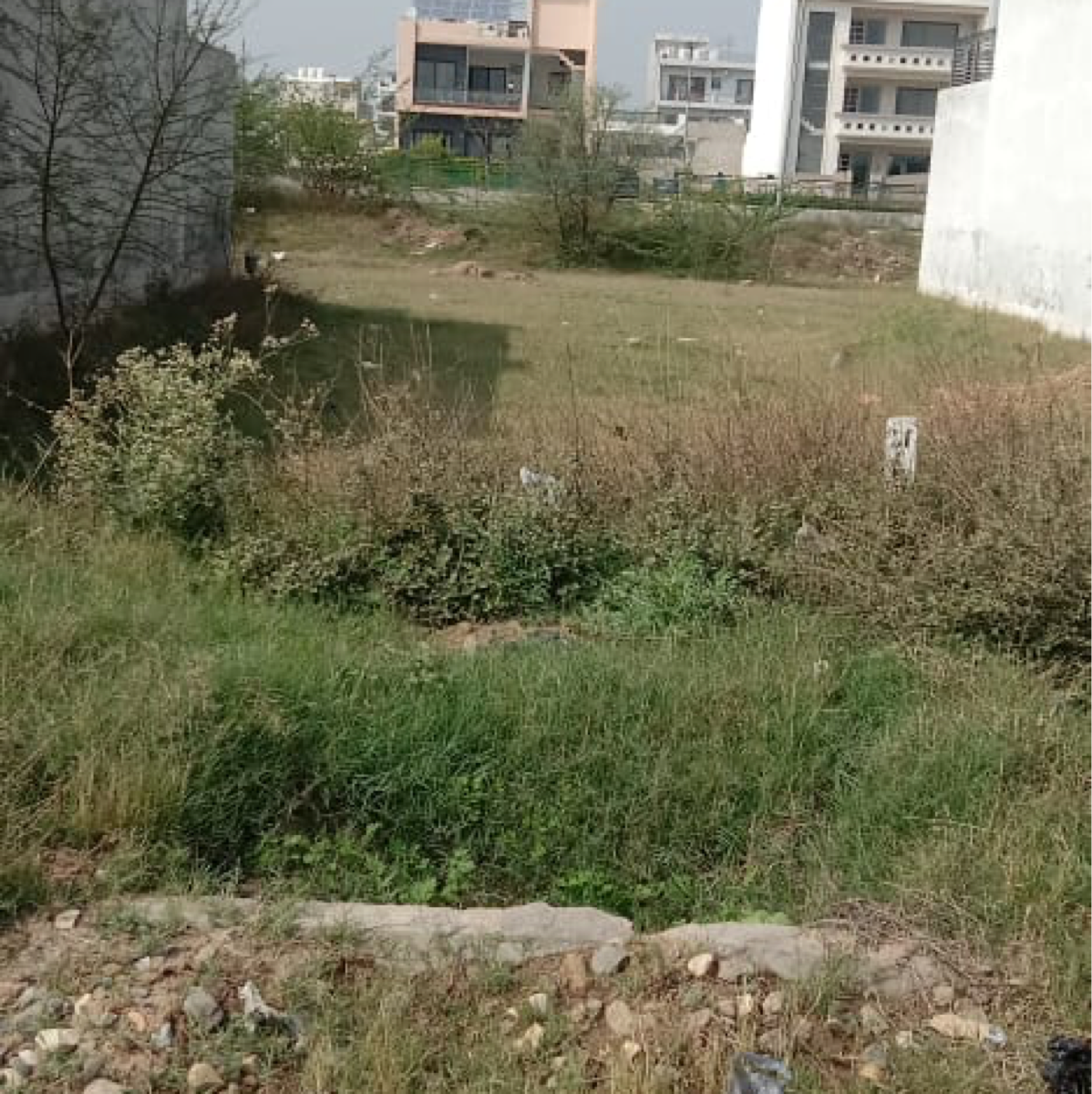 Plot For Sale in Eco City