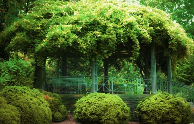 Garden, ss-the-leaf 2 Bedroom 796 Sq.Ft. Apartment In Sector 85 Gurgaon 8329875