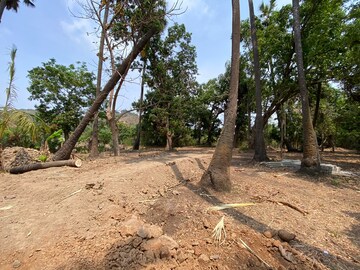 Plot Area in  Plot at Alibag – for Sale