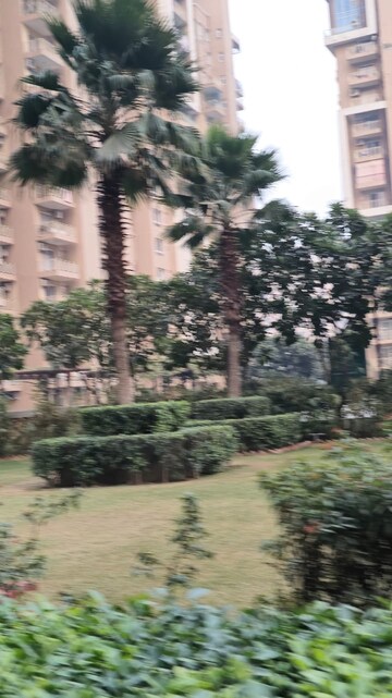 3 BHK Apartment – Garden View at Paras Irene, Sector 70a - for Rent
