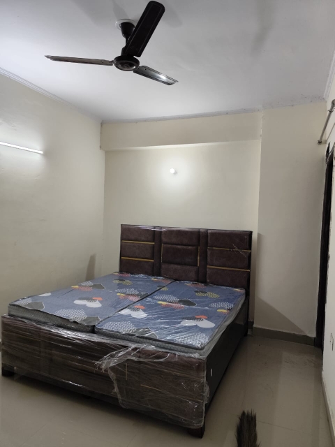 3 BHK + Servant Room,Study Room Apartment For Sale in Damodar Complex