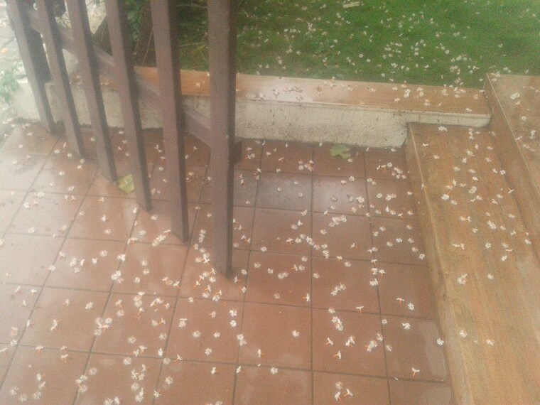 Kitchen, kumar-picasso 3 Bedroom 2200 Sq.Ft. Villa In Hadapsar Pune 8330221