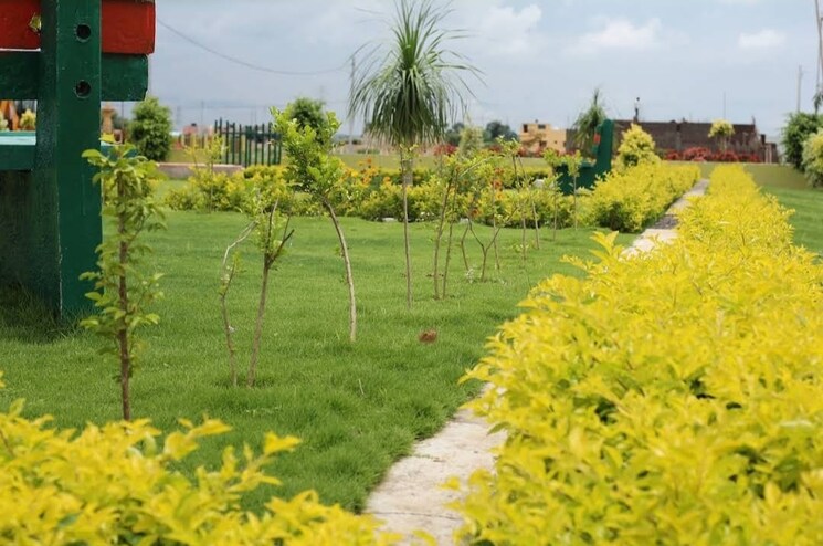 Garden, katangi  1000 Sq.Ft. Plot In Katangi Jabalpur 8330306