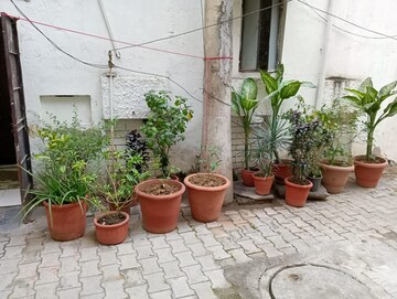 1 RK Builder Floor For Rent in Safdarjang Enclave