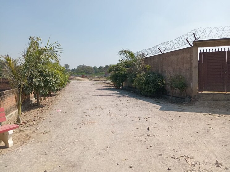 Exterior View, raebareli road  850 Sq.Ft. Plot In Raebareli Road Lucknow 8330740