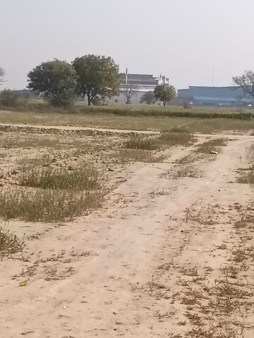 Plot Area in  Plot at Pirthla – for Sale