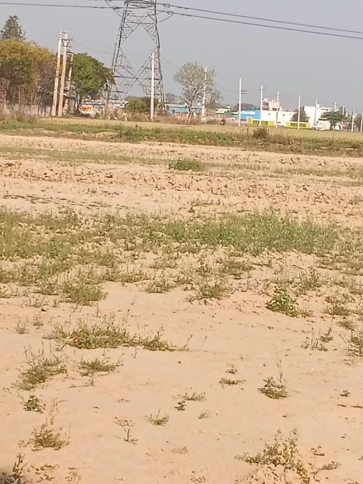 undefined, pirthla  1210 Sq.Yd. Plot In Pirthla Palwal 8330888