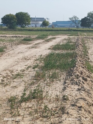 Plot Area in  Plot at Pirthla – for Sale