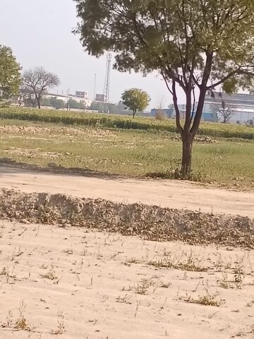 Commercial Land 1210 Sq.Yd. For Resale in Pirthla Palwal  8330931