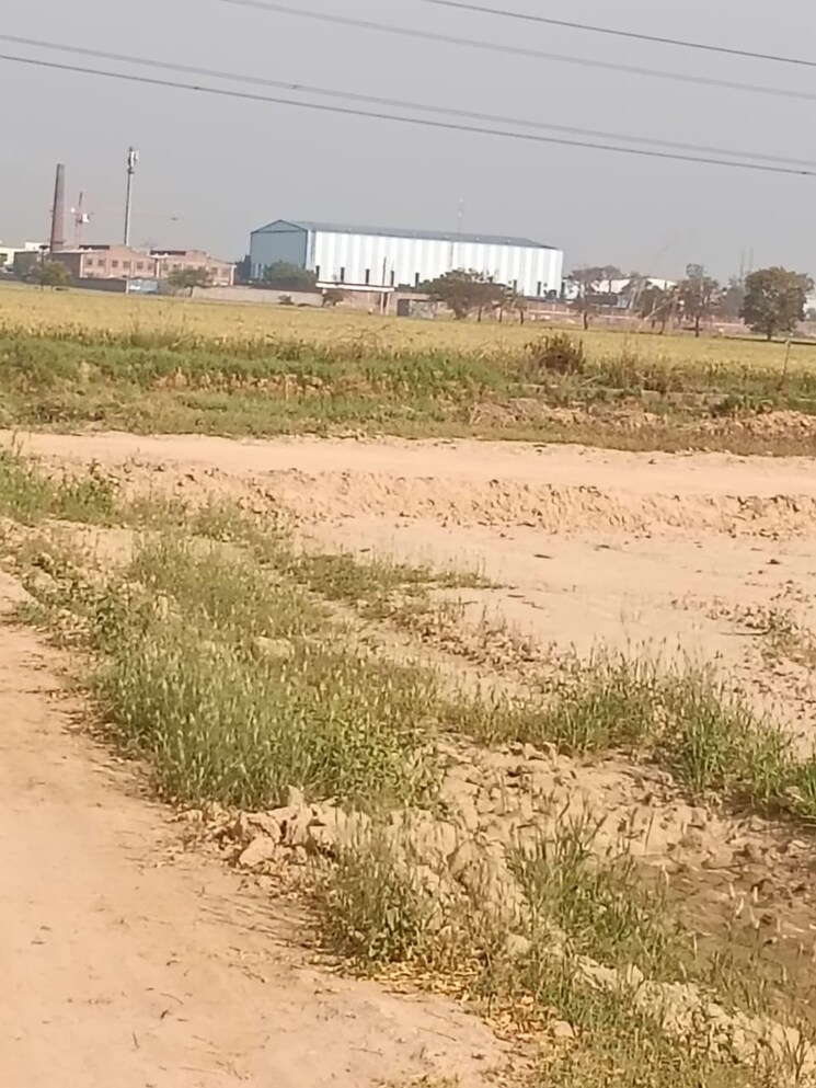 undefined, pirthla Commercial Land 1210 Sq.Yd. In Pirthla Palwal 8330931