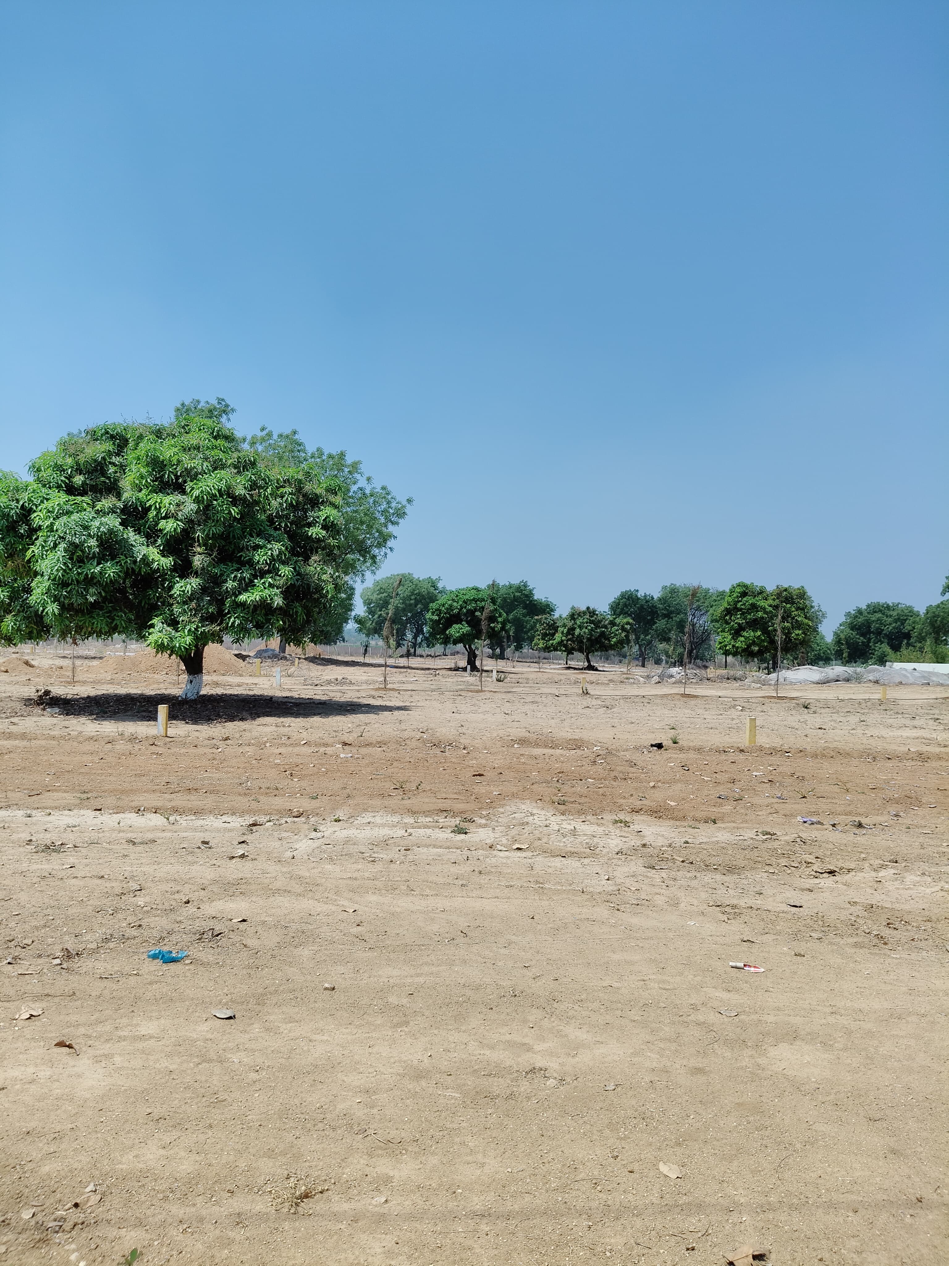 Plot For Sale in Indreshm Investment Plots