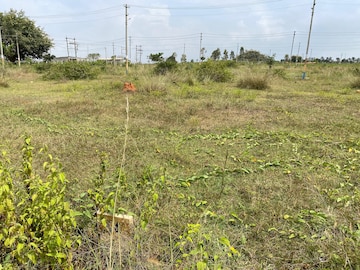 Plot For Resale in SLN City Tavarekere Bangalore  8331641