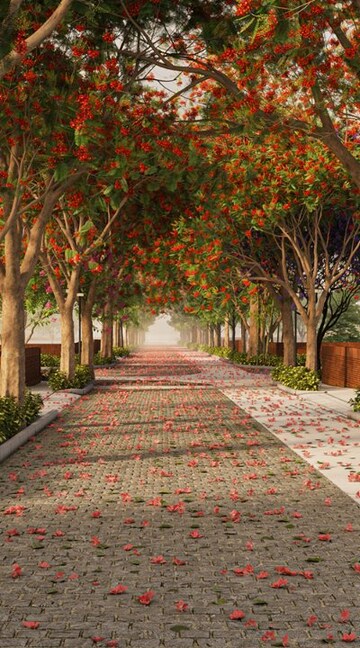  Plot – Exterior View View at Total Environment Tangled Up In The Green, Devanahalli - for Sale