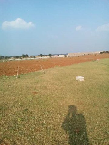 Plot Area in  Plot at Kadthal – for Sale