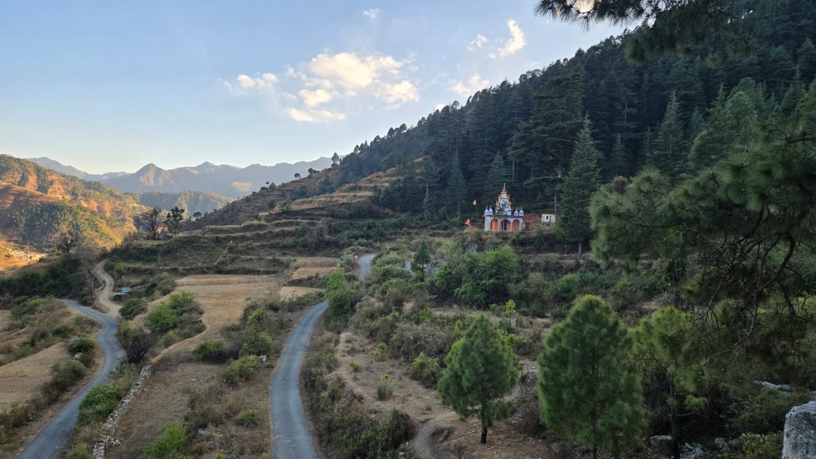 Plot For Sale in Dhalwala