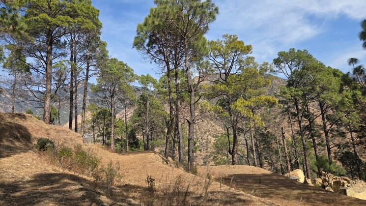 Exterior View, dhalwala  300 Sq.Yd. Plot In Dhalwala Dehradun 8331339