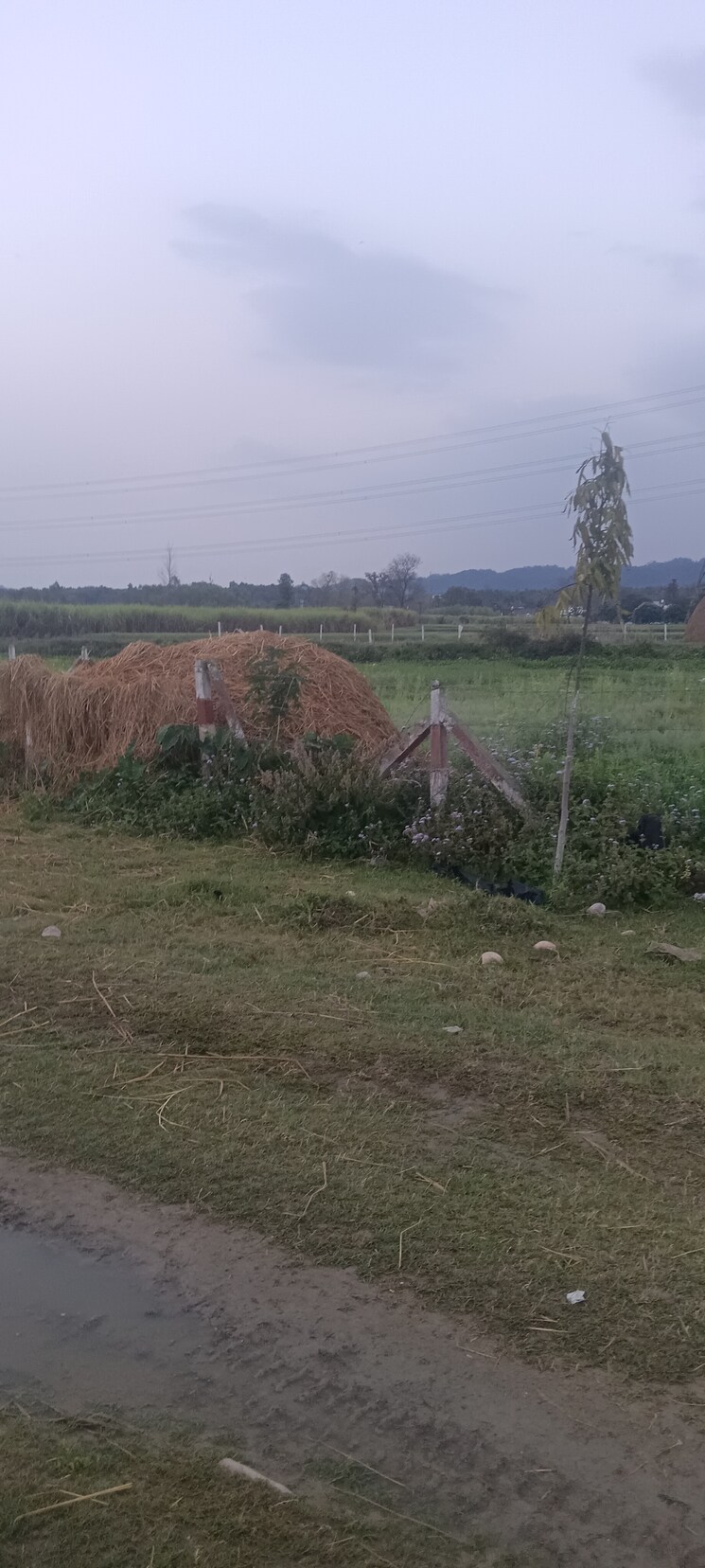 undefined, herbertpur  1170 Sq.Ft. Plot In Herbertpur Dehradun 8331803