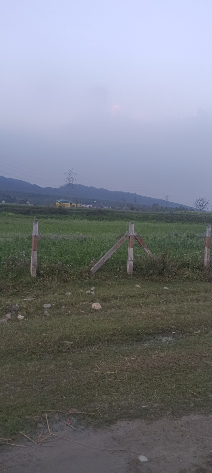 undefined, herbertpur  1170 Sq.Ft. Plot In Herbertpur Dehradun 8331803