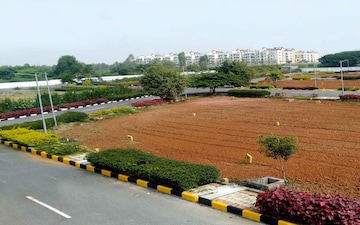 Plot For Sale in Sector 64