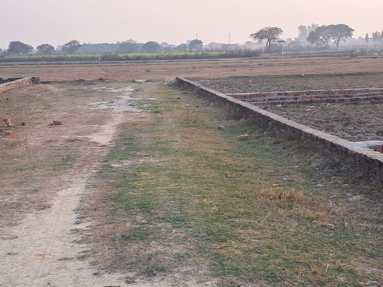 undefined, sevai  800 Sq.Ft. Plot In Sevai Lucknow 8334102