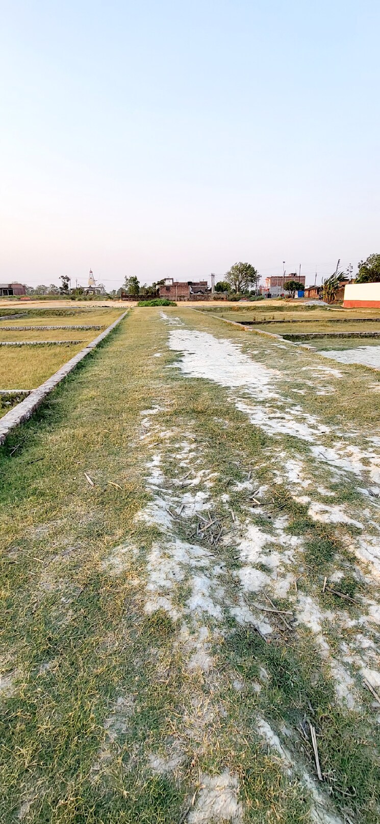 Garden, kasia  1200 Sq.Ft. Plot In Kasia Kushinagar 8334182