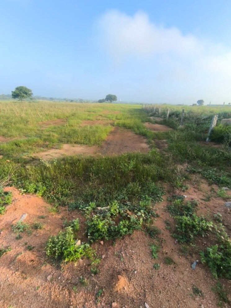 undefined, bibinagar  999 Sq.Ft. Plot In Bibinagar Hyderabad 8334277