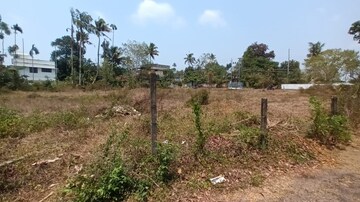Plot Area in  Land at Paravoor – for Sale