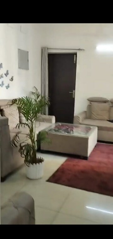 1 BHK Apartment For Rent in Gaur City 2 - 14th Avenue Sector 16c Greater Noida Greater Noida  8334584