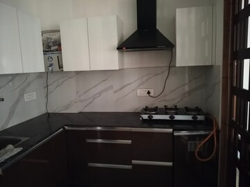 Kitchen in 1 BHK Apartment at Royal Oxford Street, Ambala Highway – for Rent