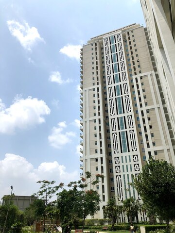 4 BHK Apartment – Exterior View View at DLF The Crest, Sector 54 - for Rent