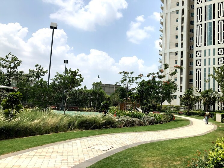 Exterior View, dlf-the-crest 4 Bedroom 4010 Sq.Ft. Apartment In Sector 54 Gurgaon 8334673