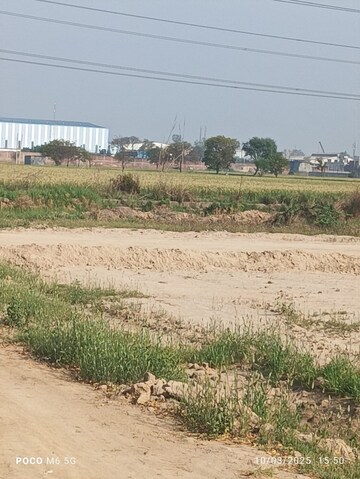 Plot Area in  Plot at Pirthla – for Sale