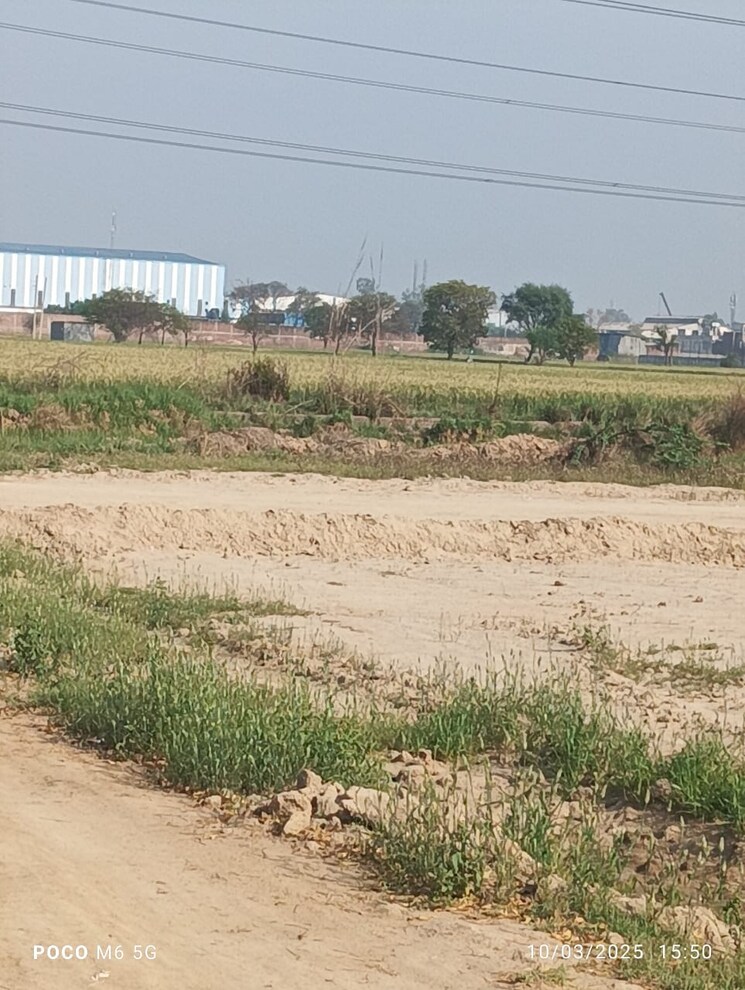 undefined, pirthla  500 Sq.Yd. Plot In Pirthla Palwal 8334783