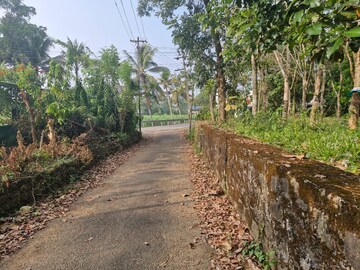  Plot – Exterior View View at Angamaly - for Sale
