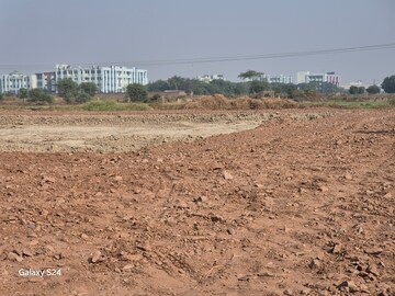 Plot For Resale in Amarpur Palwal  8334817