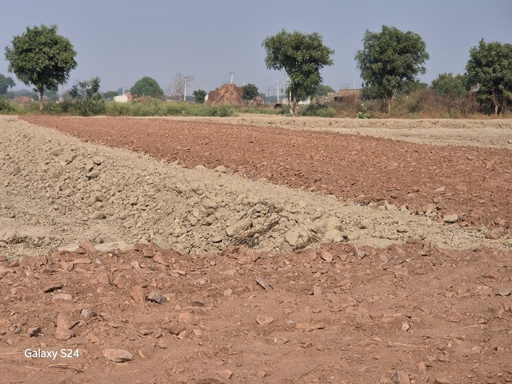 undefined, amarpur  100 Sq.Yd. Plot In Amarpur Palwal 8334817