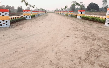 Plot For Sale in Golghar