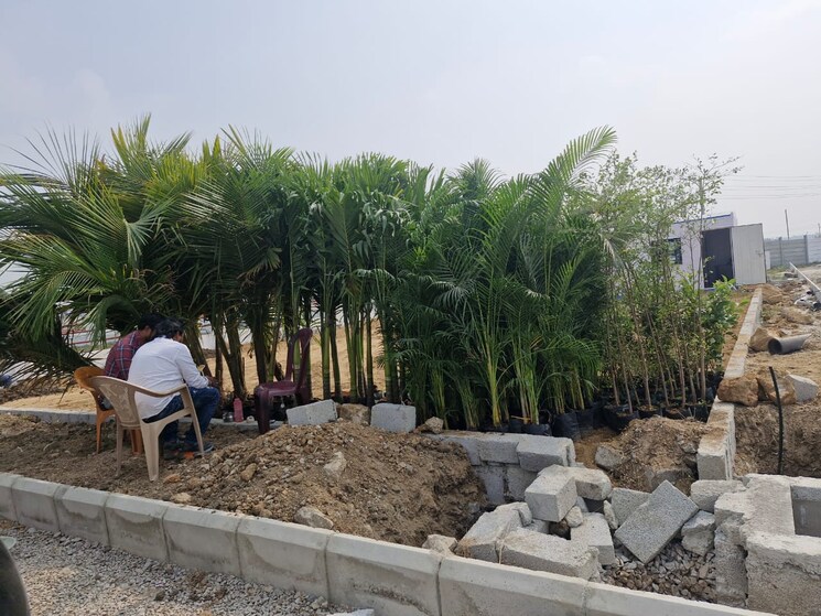 undefined, shadnagar  250 Sq.Yd. Plot In Shadnagar Hyderabad 8334954