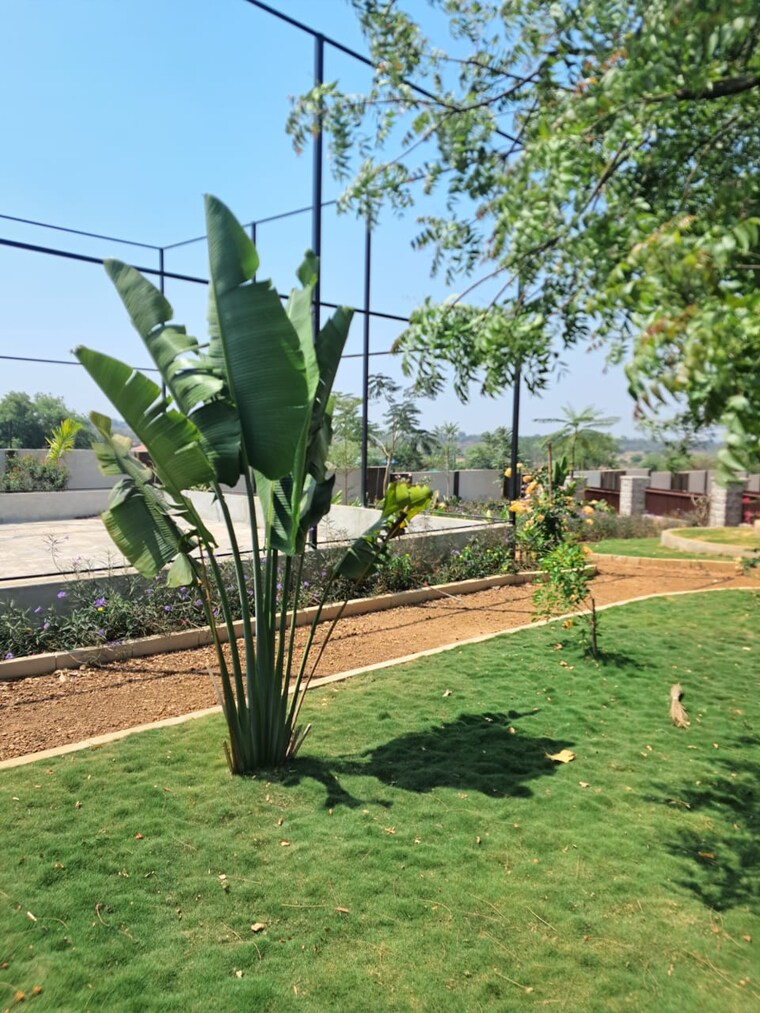 Garden, shadnagar  250 Sq.Yd. Plot In Shadnagar Hyderabad 8334954