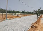1200 Sq.Yd. Plot in NSR Green Woods